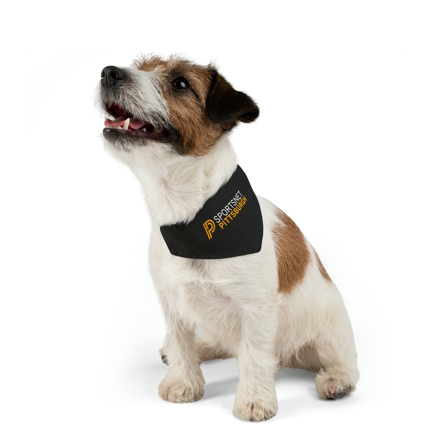 Pet Bandana Collar - SNP