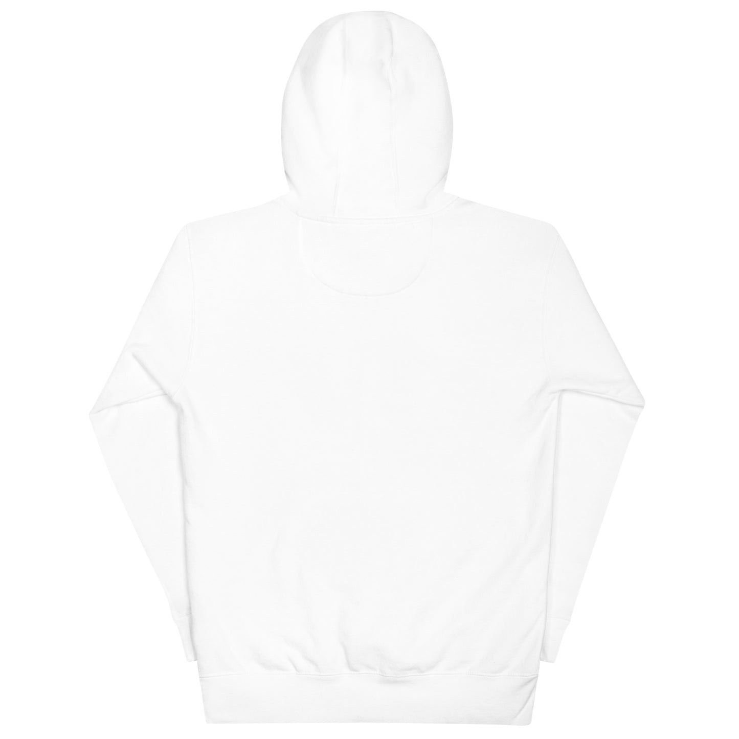 Unisex Classic Hoodie - NESN 40