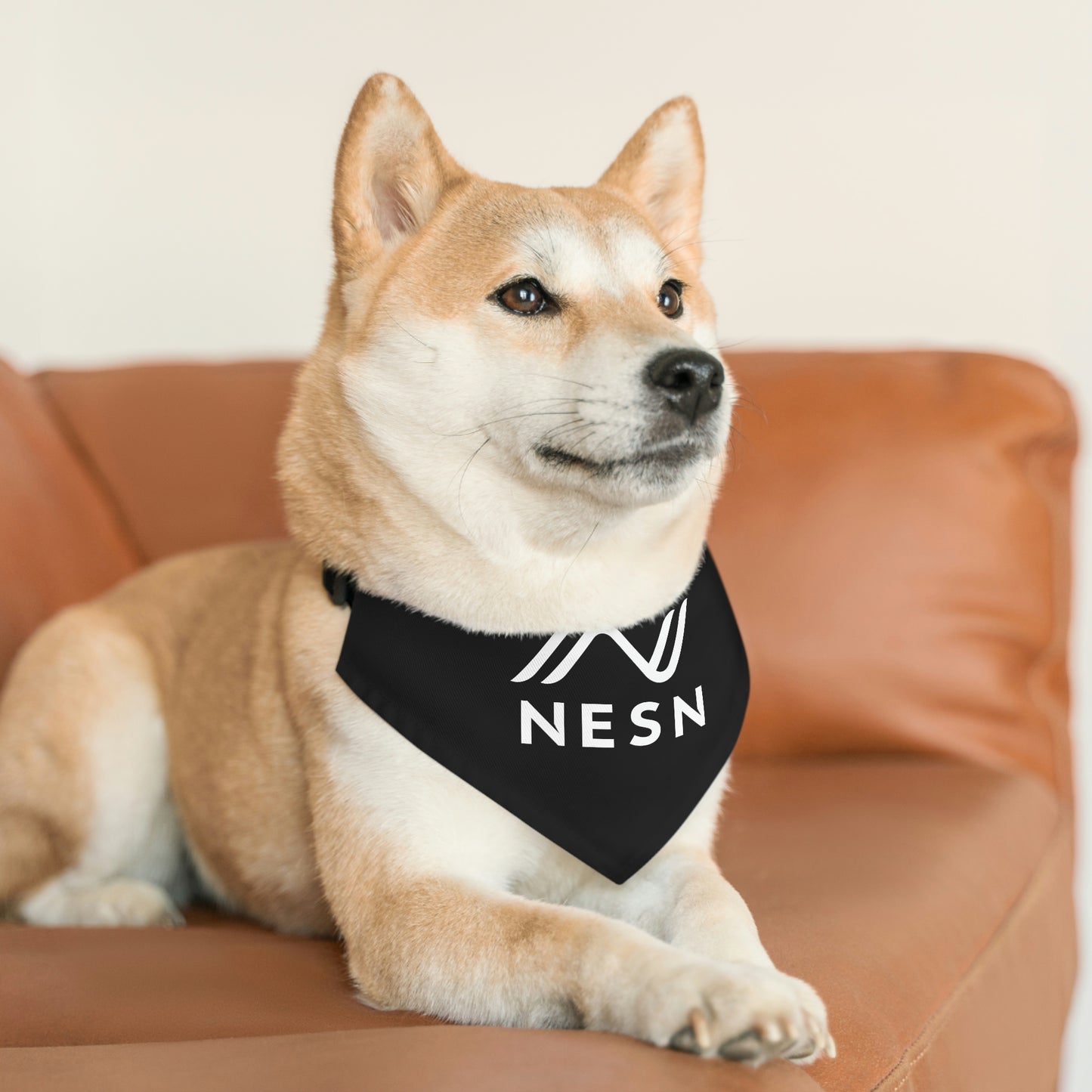 Pet Bandana Collar - NESN