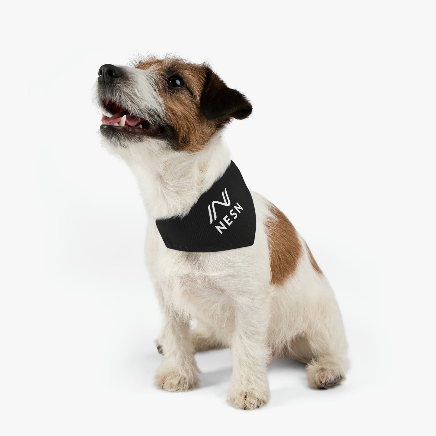 Pet Bandana Collar - NESN